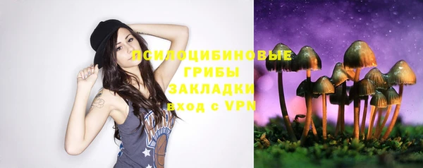 эйфоретик Алексин