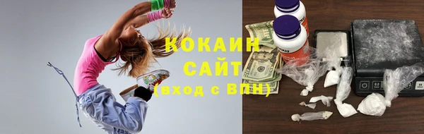 прущие грибы Алексеевка