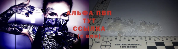 прущие грибы Алексеевка