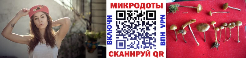 Псилоцибиновые грибы Cubensis  где купить наркотик  Еманжелинск 